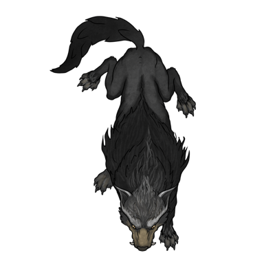 Un loup